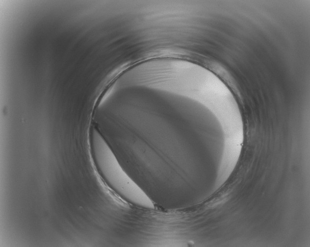 X0000070170954200606231917