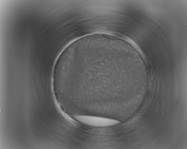 X0000070170955200606231917