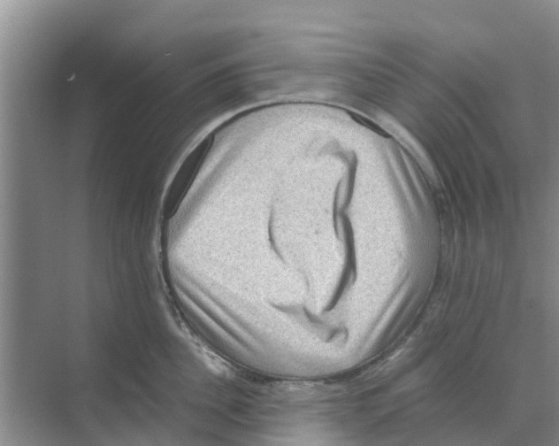 X0000070170956200606231917