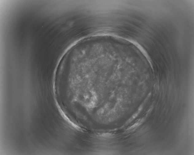 X0000070170957200606231917