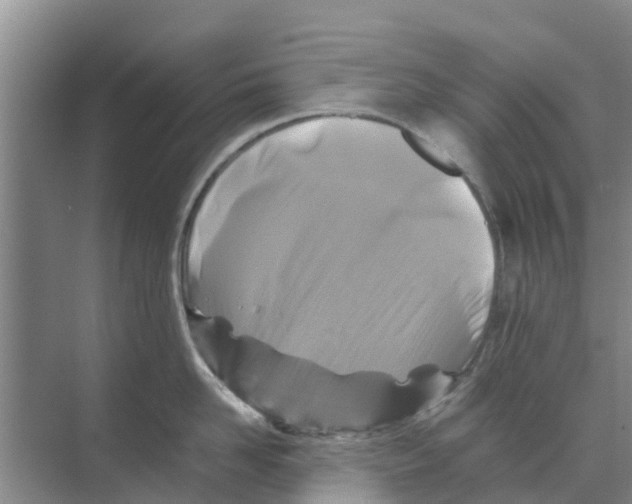 X0000070170958200606231917