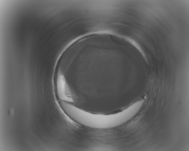 X0000070170959200606231917