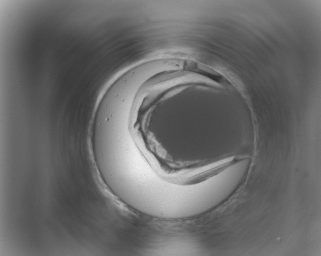 X0000070170960200606231917