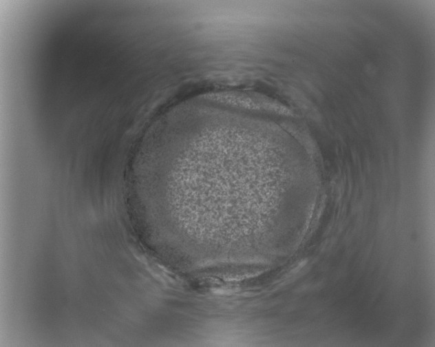 X0000070170961200606231917