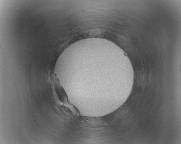 X0000070170962200606231917