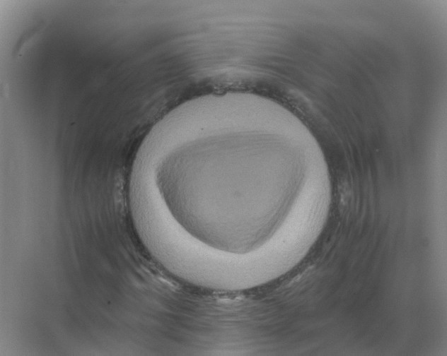 X0000070170964200606231917