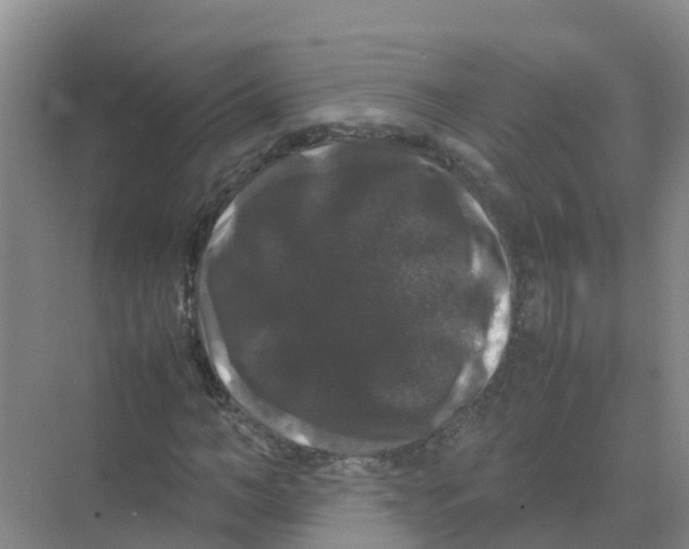 X0000070170966200606231916