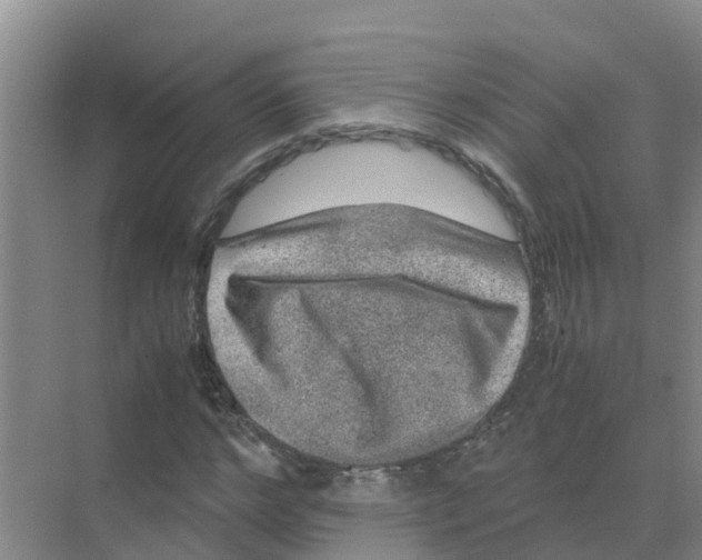 X0000070170968200606231916