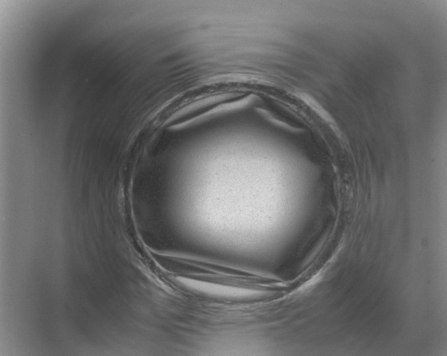 X0000070170969200606231916