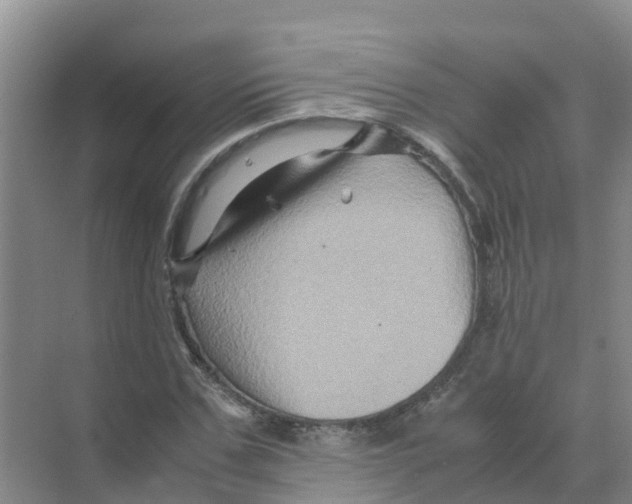 X0000070170971200606231916