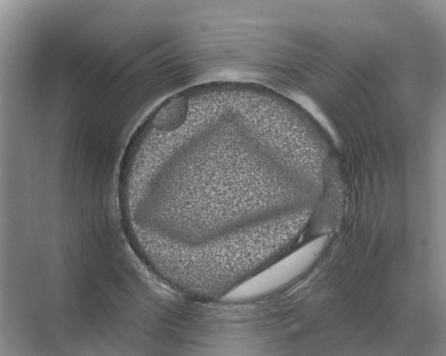 X0000070170972200606231916