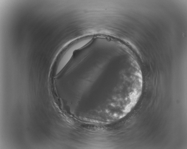 X0000070170975200606231916