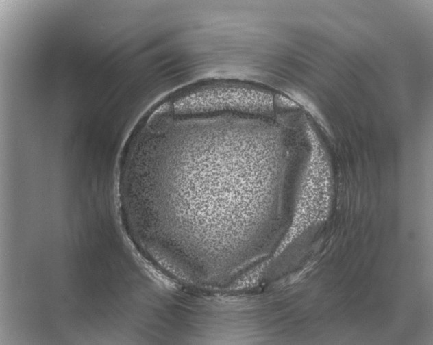 X0000070170976200606231916