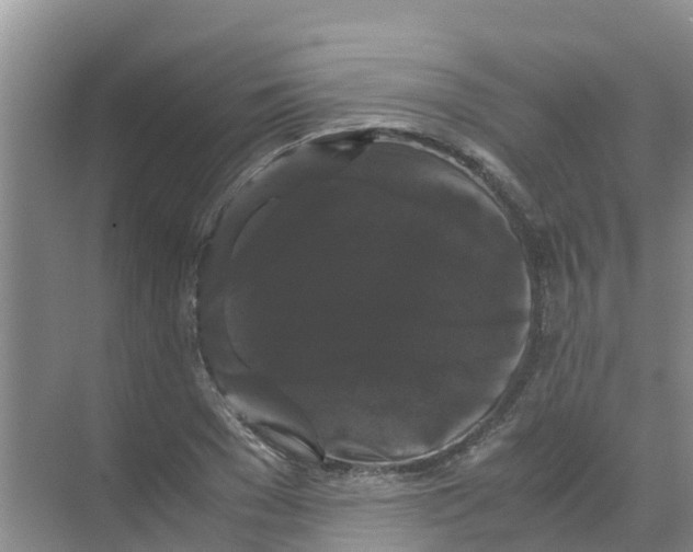 X0000070170977200606231916