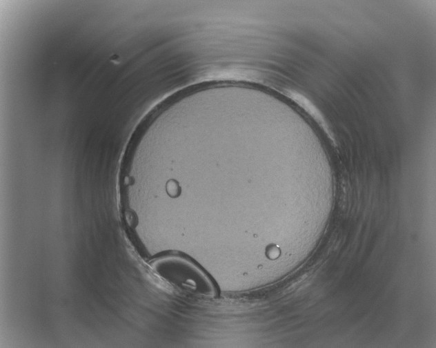 X0000070170980200606231916