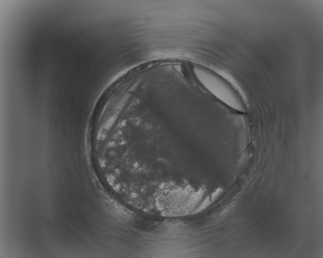 X0000070170983200606231916