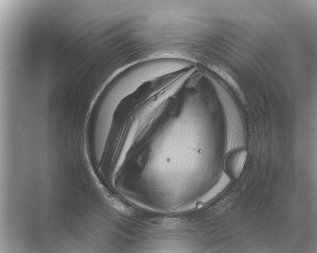 X0000070170984200606231916