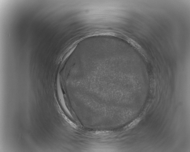 X0000070170985200606231916