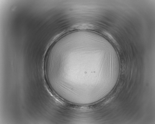 X0000070170986200606231916