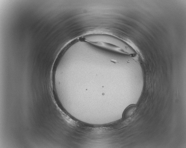 X0000070170988200606231916