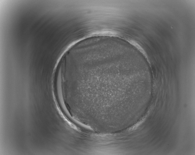 X0000070170989200606231916