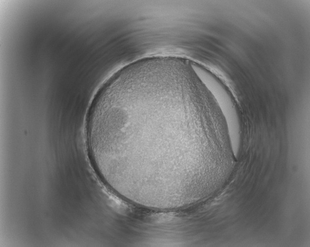 X0000070170990200606231916