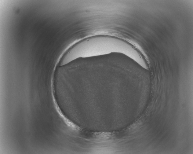 X0000070170991200606231916