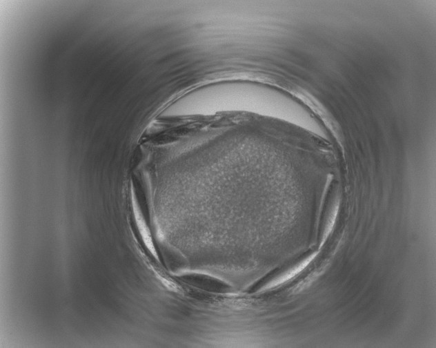 X0000070170993200606231916