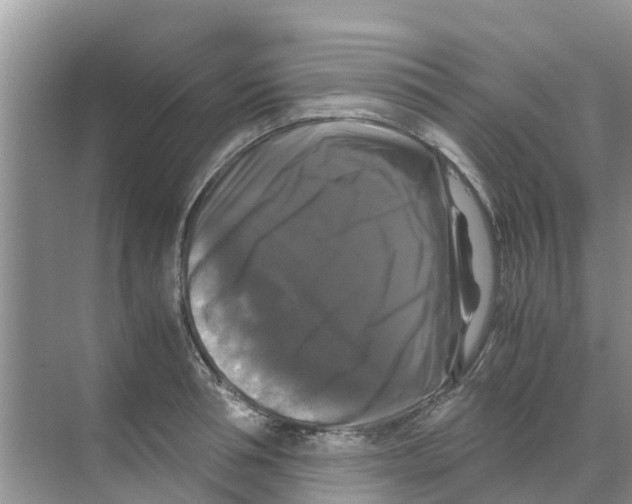 X0000070170994200606231916