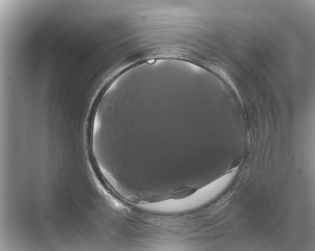 X0000070170995200606231916