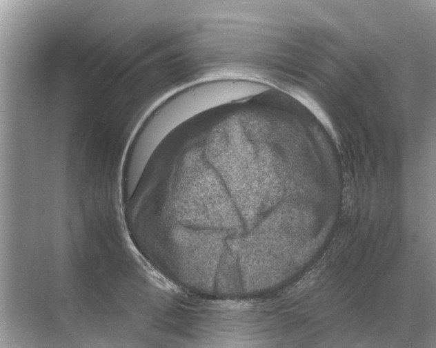 X0000070170996200606231916