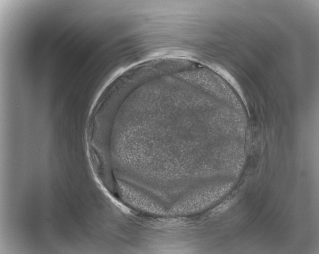 X0000070170997200606231916