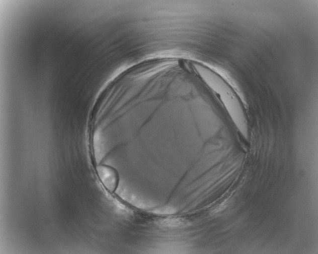 X0000070170998200606231916