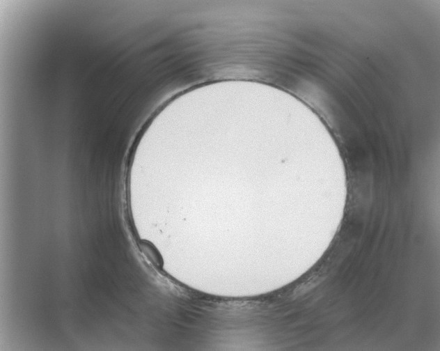 X0000070171000200606231916