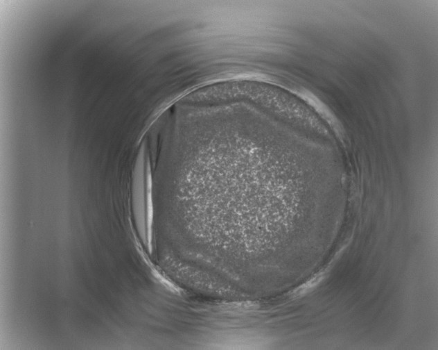 X0000070171001200606231916