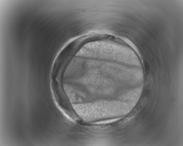 X0000070171005200606231916