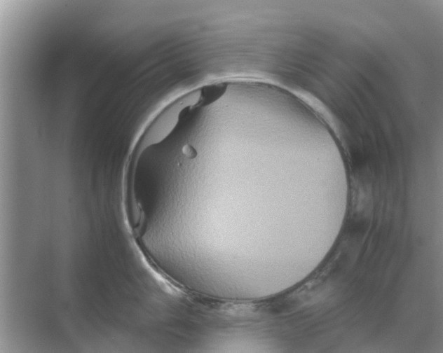 X0000070171006200606231916