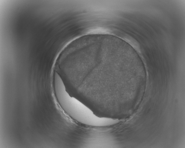 X0000070171008200606231916