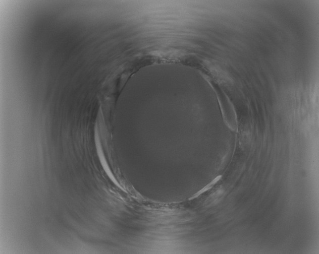 X0000070171010200606231915