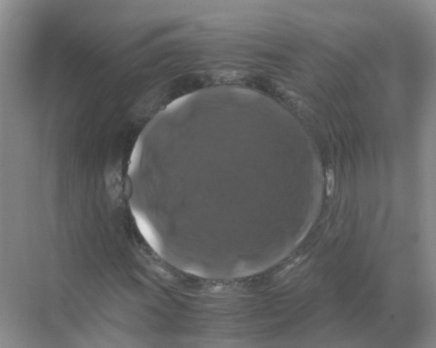 X0000070171011200606231915