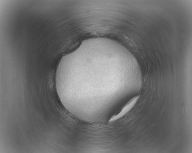 X0000070171012200606231915