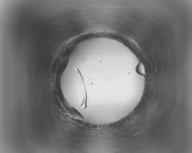 X0000070171016200606231915