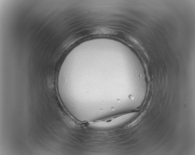 X0000070171017200606231915