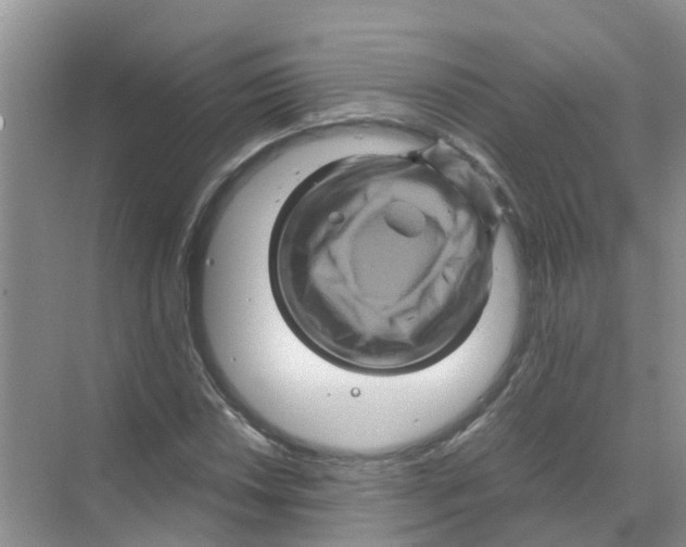 X0000070171018200606231915