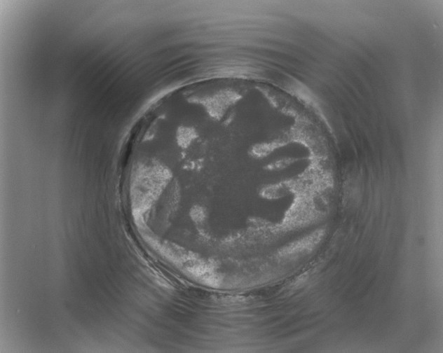 X0000070171019200606231915