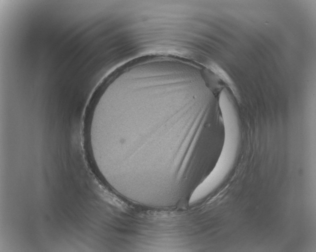 X0000070171020200606231915