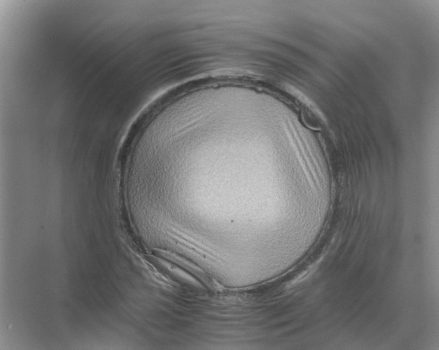 X0000070171021200606231915