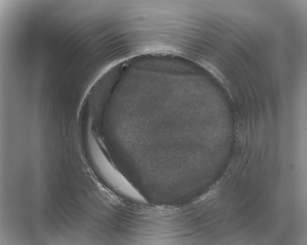 X0000070171022200606231915