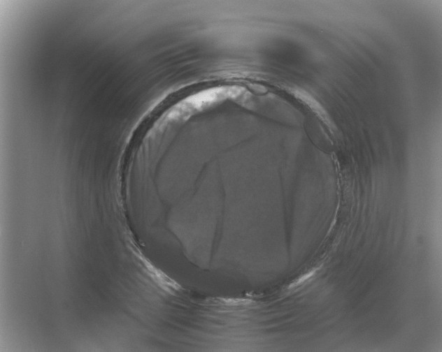 X0000070171023200606231915