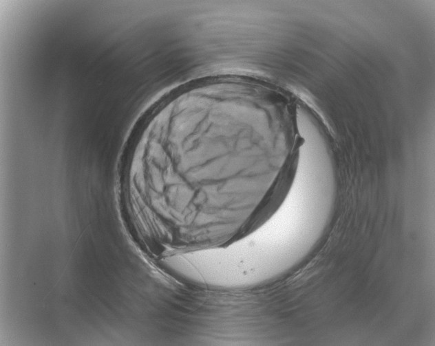 X0000070171024200606231915